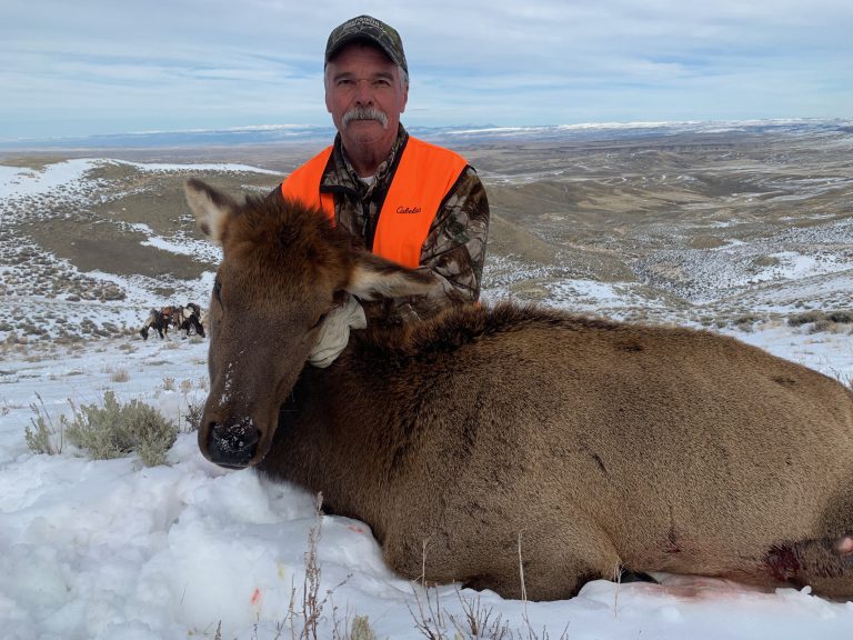 Cow Elk Hunting With SNS Outfitter & Guides | Wyoming Hunting News