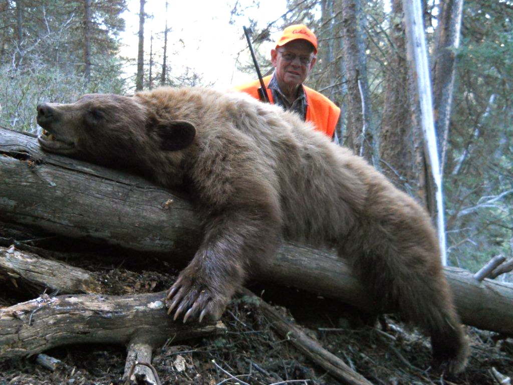 Spring Bear Hunting Update Wyoming Hunting News