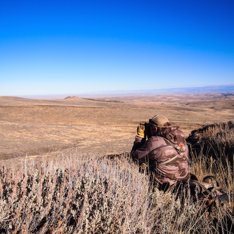 Wyoming Mule Deer Hunt Wyoming Hunting News