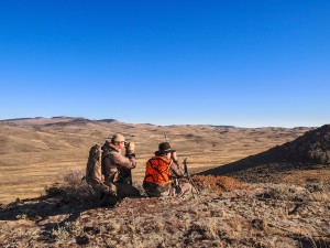 Stalking Wyoming Mule Deer