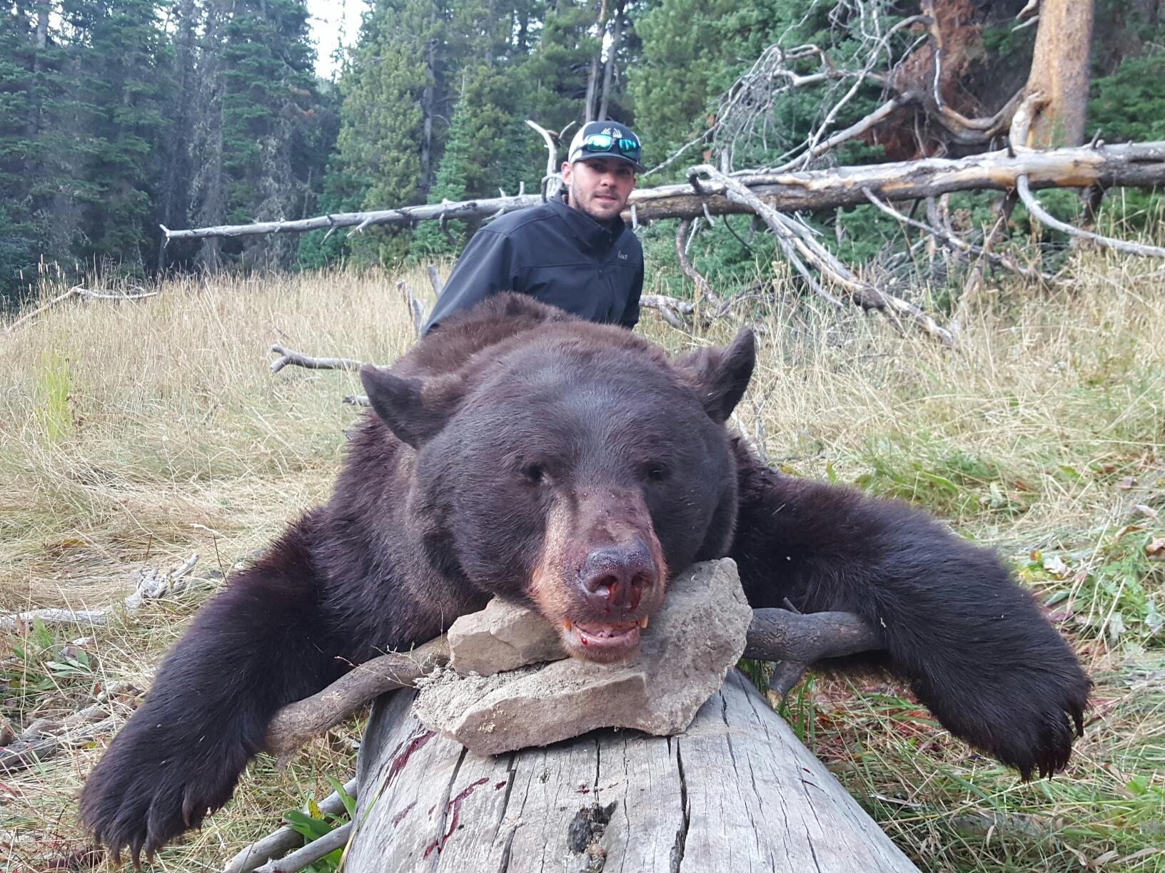 September on the Greys River: Fall Black Bear Hunts