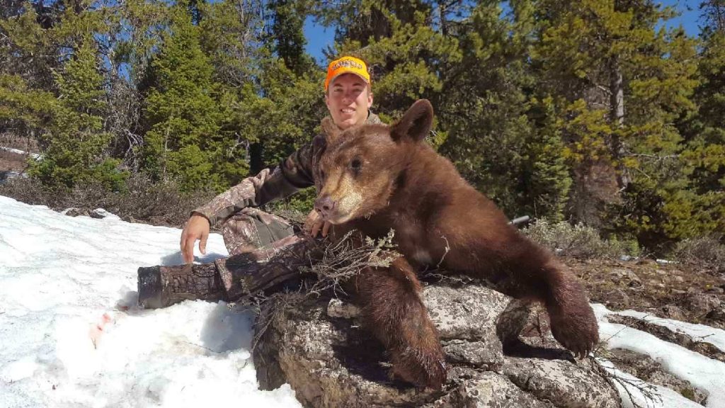 Wyoming Spring Bear Hunting Update