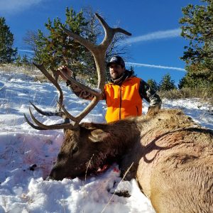 Hunting Elk in Wyoming