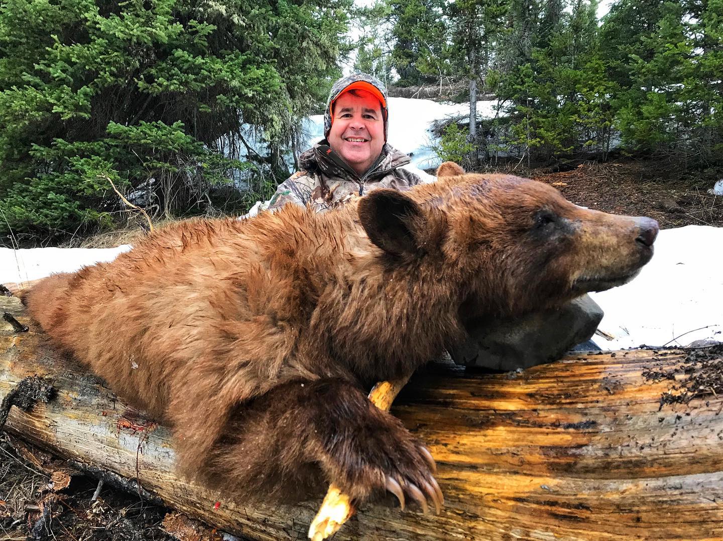 Spring Bear Hunting in Wyoming Wyoming Hunting News
