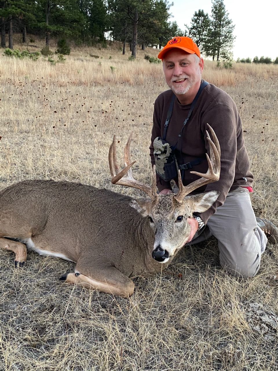 Why Hunt Wyoming Whitetail Deer? | Wyoming Hunting News