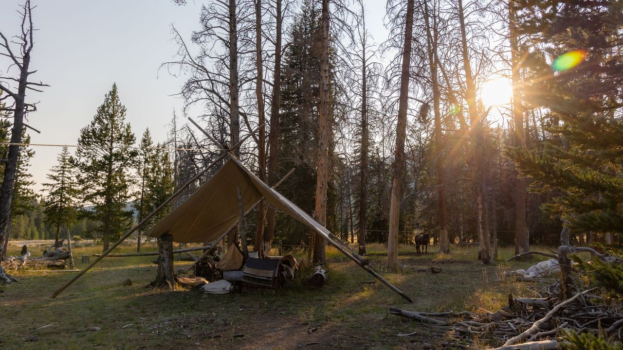 Elk Hunts [and Camps] for all | Wyoming Hunting News