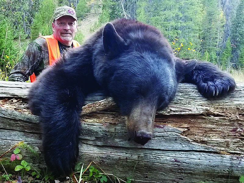 Sns Bear Hunts 8
