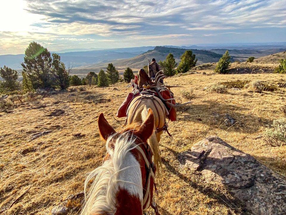 horseback hunting sns outfitter