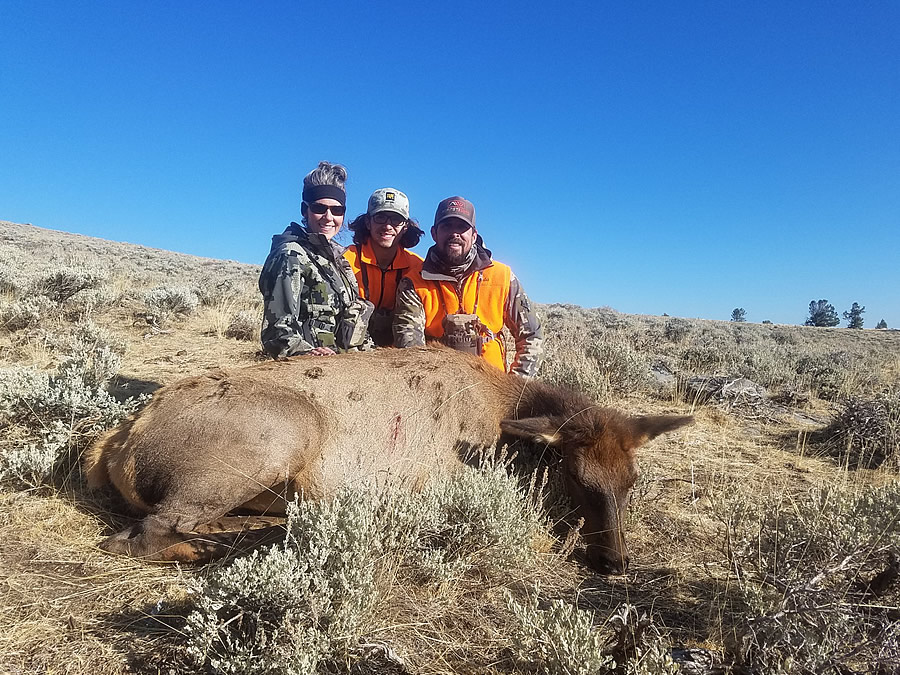 Cow Elk Hunts Wyoming 6