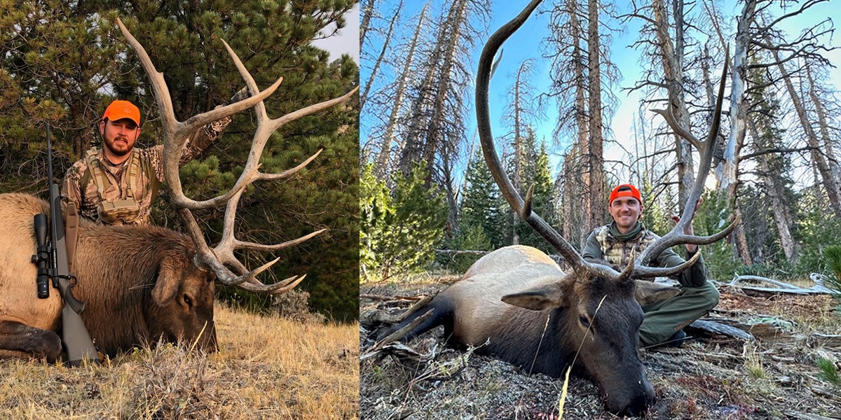 Wyoming Rifle Elk Hunting