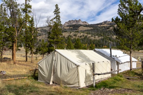 Expanding Elk Hunting Horizons