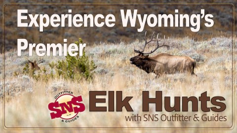 Your Guide to Wyoming’s Most Diverse Elk Hunting Opportunities with SNS Outfitters