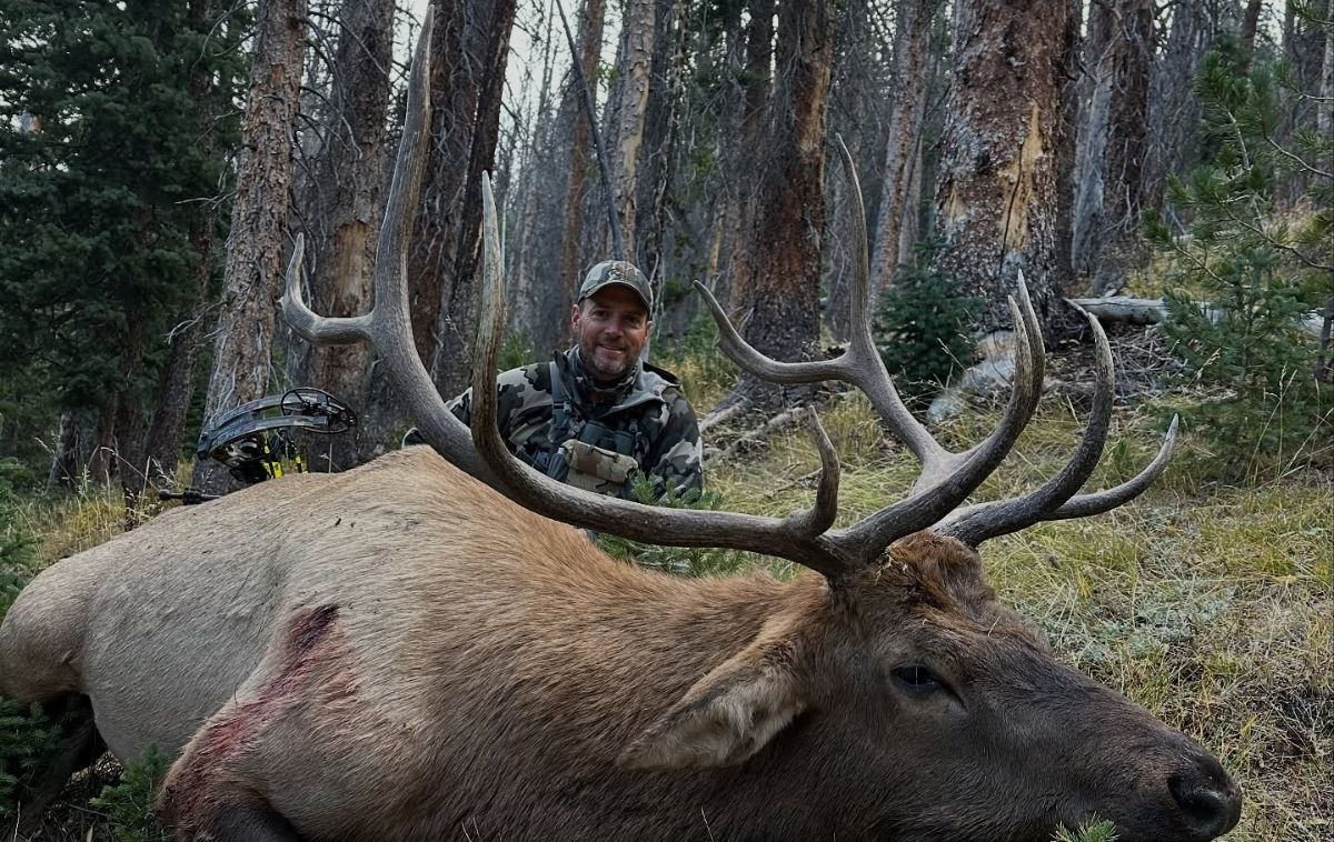 Wyoming bull elk hunt with SNS Outfitter & Guides