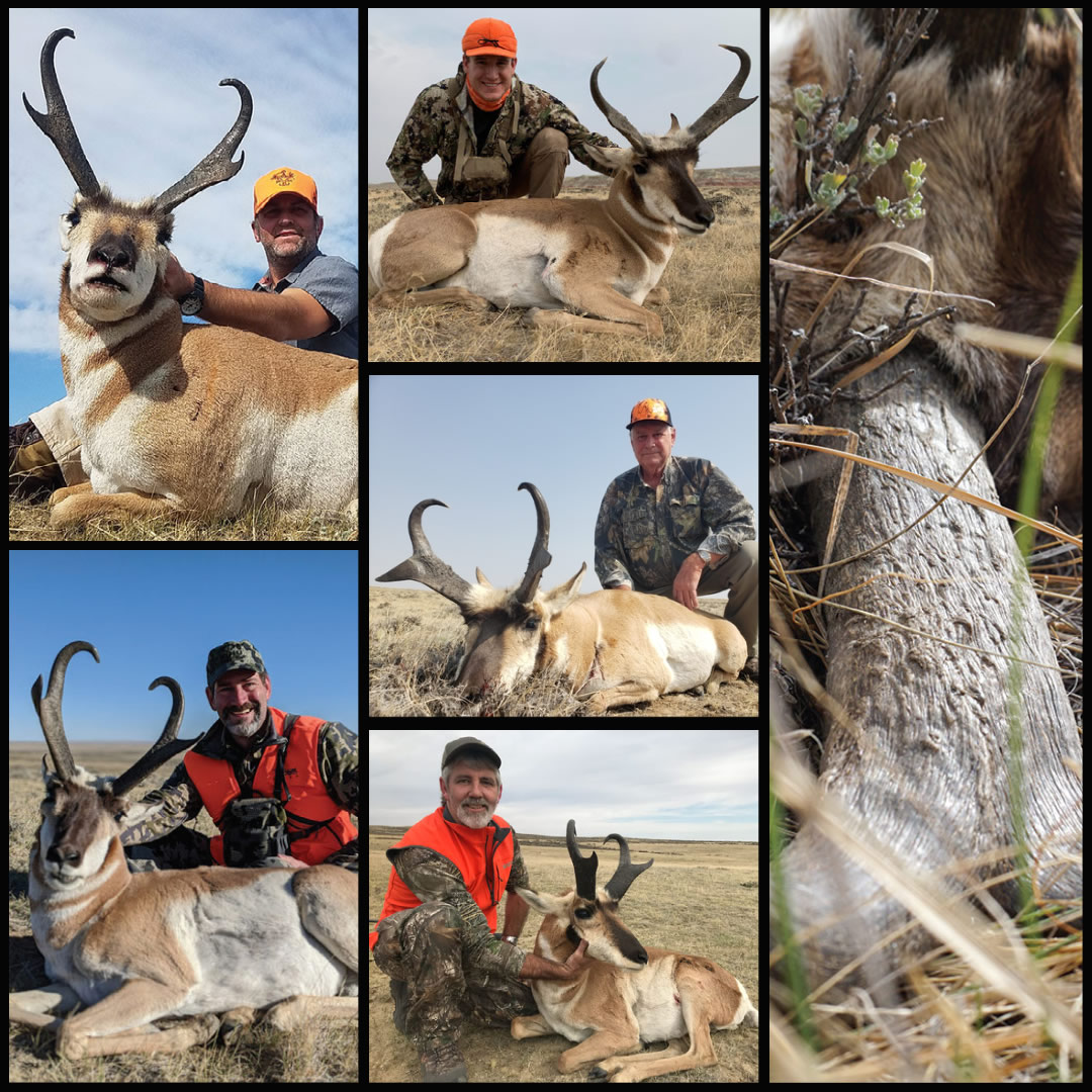 Trophy Antelope Hunt in Wyoming with SNS Outfitters