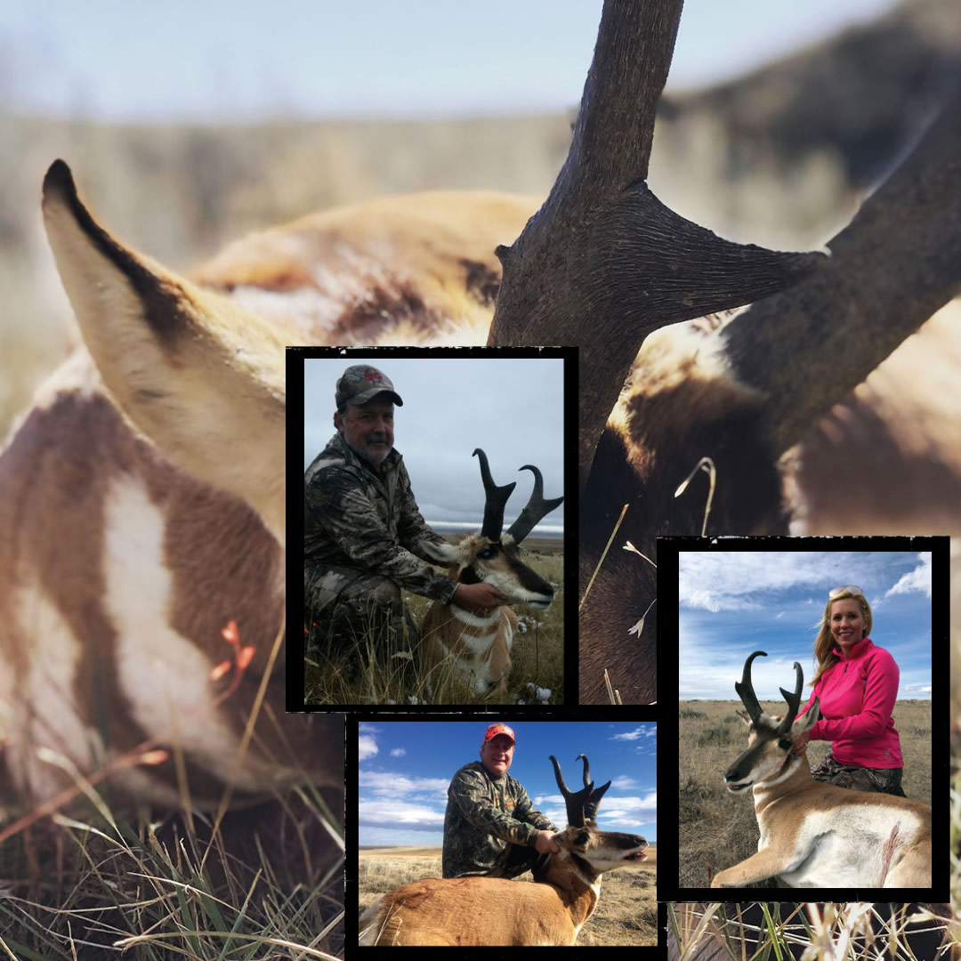 Hunt 10 sns mule deer 2020 2