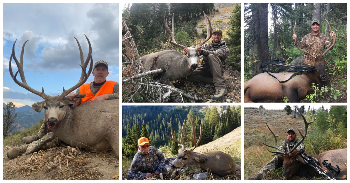Hunt 8 SNS Mule deer & bull elk archery & rifle