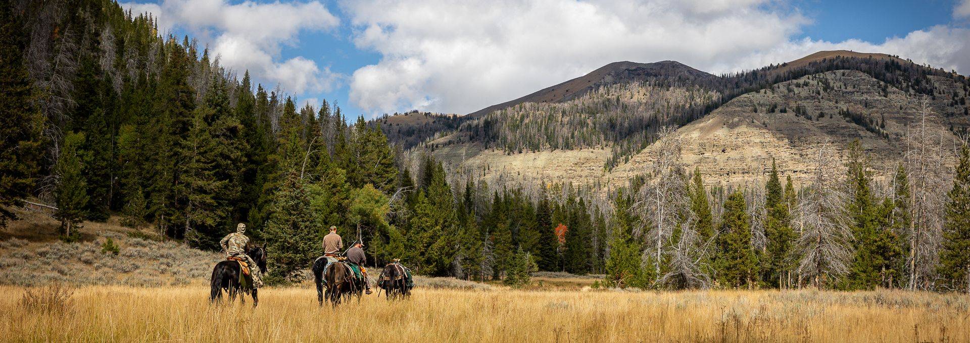 Wyoming Trophy Antelope Hunting Wyoming Trophy Antelope Hunting