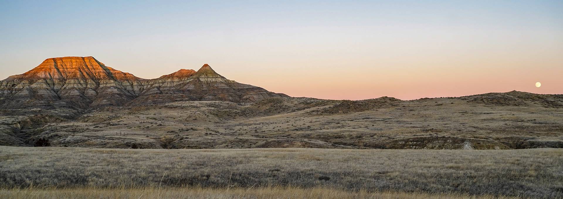 Mule Deer, Pronghorn Antelope Or Elk Hunt In Wyoming Mule Deer, Pronghorn Antelope Or Elk Hunt In Wyoming