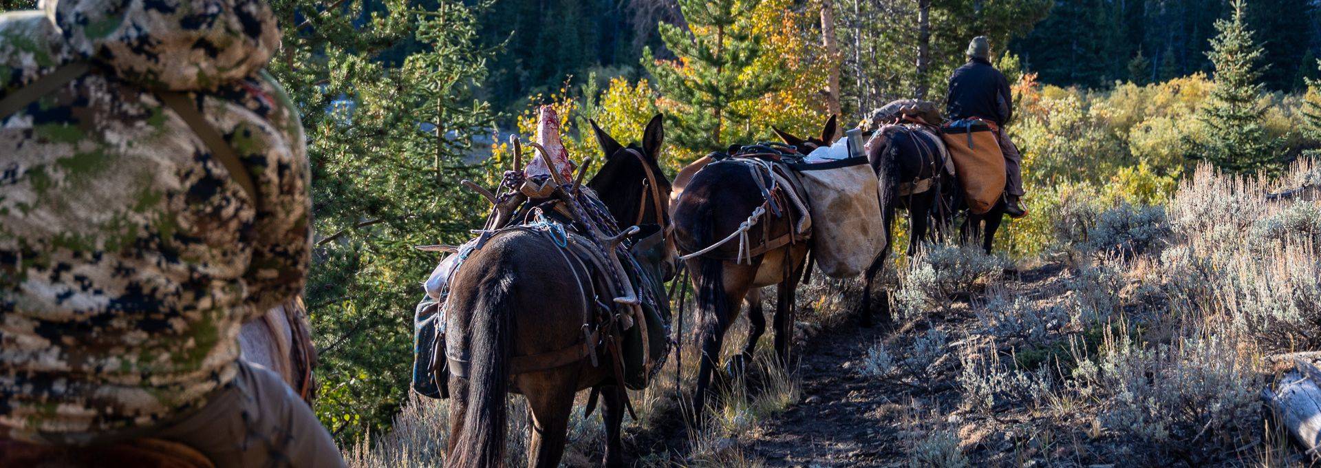 Permits & Affiliations Permits & Affiliations