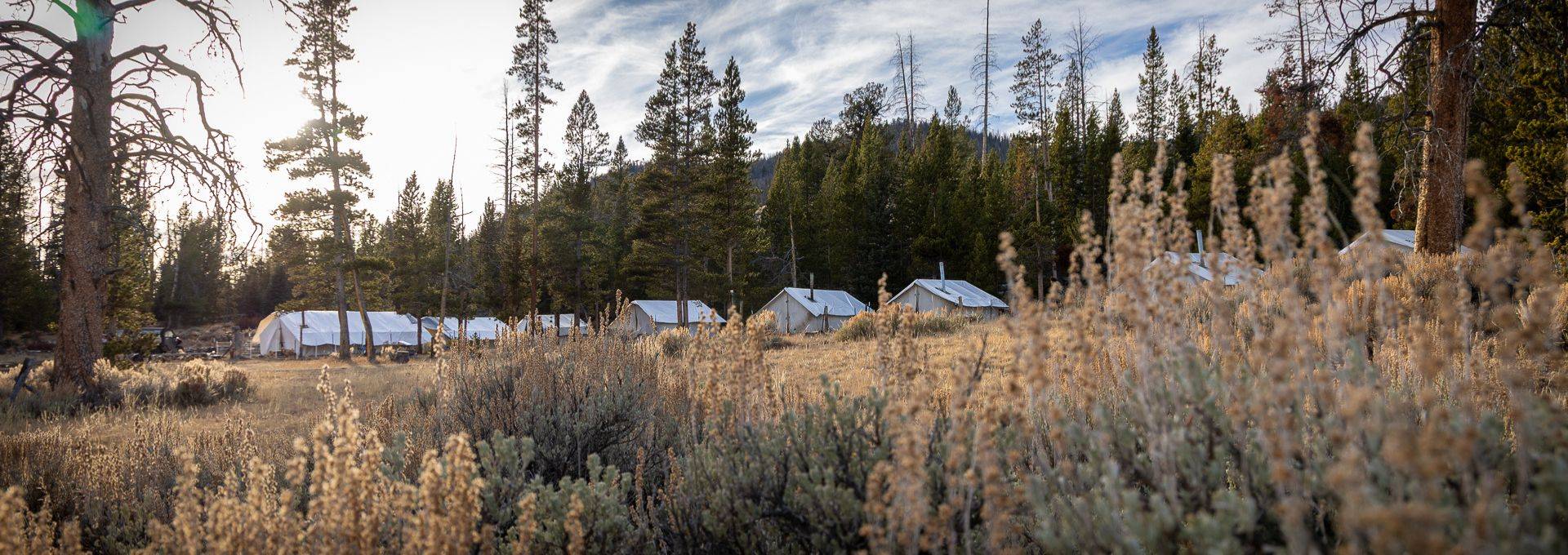 Book a Hunt with SNS Outfitters Book a Hunt with SNS Outfitters