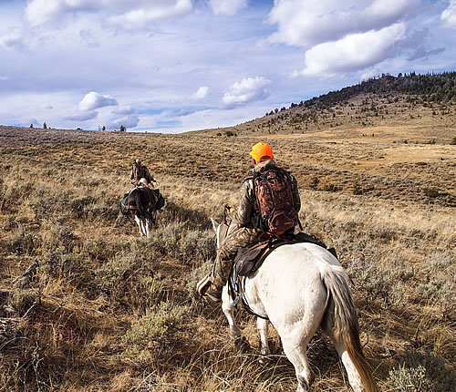 wyoming hunt by horse
