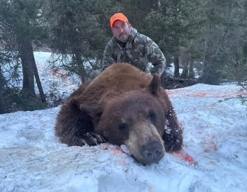 Hunter in camouflage kneeling behind a harvested color-phase black bear on snowy terrain in Wyoming.