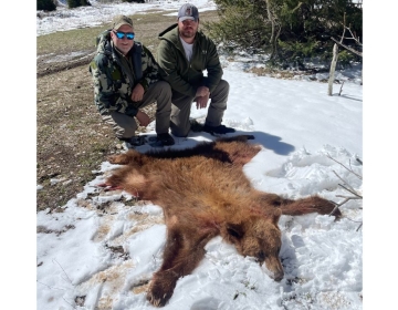 Two hunters posing with a color-phase black bear pelt displayed on snowy ground during a Wyoming hunt.