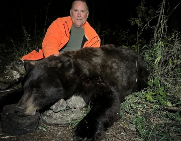 Hunter in an orange jacket kneeling beside a large black bear in a forest setting at night. Wyoming black bear hunting adventure guided by SNS Outfitter & Guides.