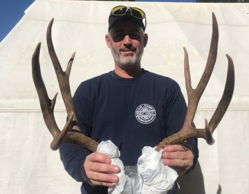 Hunt 8 Bull Elk Sns 2017 3