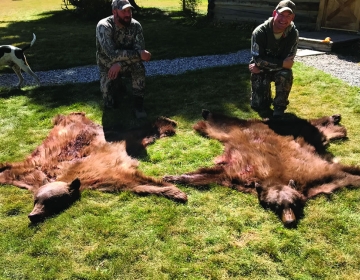 Hunt 9 Wyoming Black Bear Sns 2018 1