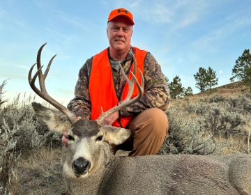 Smiling hunter in an orange vest posing with a mule deer in a sagebrush-covered Montana hillside at sunset.