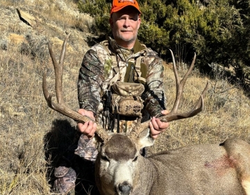 Male hunter in camouflage and an orange hat kneeling behind a trophy mule deer in a grassy Montana field.