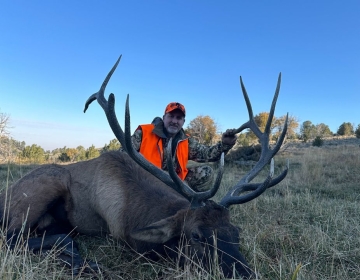 A hunter wearing an orange safety vest posing with a large bull elk featuring impressive antlers, captured in a grassy Wyoming field at dawn.