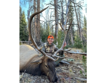 Hunter wearing an orange cap and camo gear posing with a trophy elk surrounded by tall trees in a Wyoming forest.