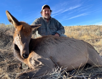 A hunter in a denim shirt posing with a cow elk lying on a grassy Wyoming landscape under a clear blue sky