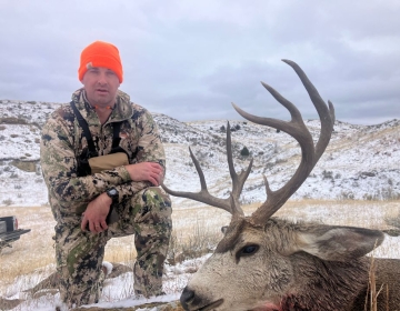 Hunter in a bright orange beanie and camouflage kneeling beside a harvested mule deer in a snowy Montana landscape.