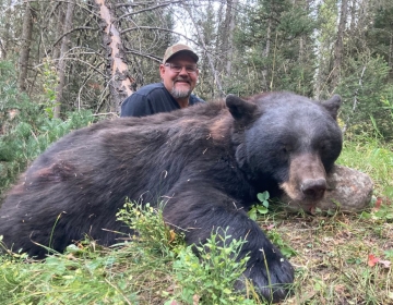 Smiling hunter kneeling beside a large black bear resting on a rock in a forested area, showcasing a successful Wyoming hunt.