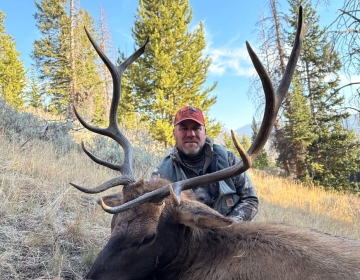 Hunter posing behind a harvested bull elk in a scenic Wyoming clearing with a bright blue sky and pine trees in the background.