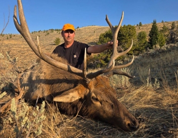 A hunter in a black shirt and orange hat proudly displaying a bull elk with wide antlers, lying on the Wyoming landscape during golden hour.