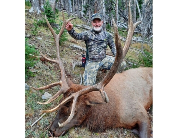 Experienced hunter in camouflage kneeling beside a large bull elk in a dense forest, celebrating a successful Wyoming hunt.