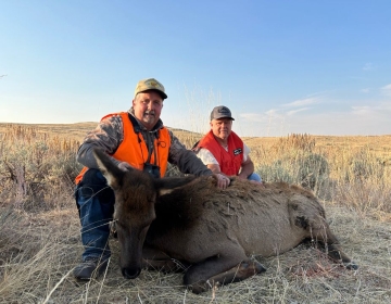 Two hunters in safety vests kneeling next to a harvested cow elk on an open field surrounded by sagebrush, in Wyoming’s golden sunlight.