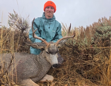 A hunter in wet-weather gear proudly kneeling behind a mule deer buck, the animal's antlers glistening in the rainy conditions of the Wyoming wilderness.