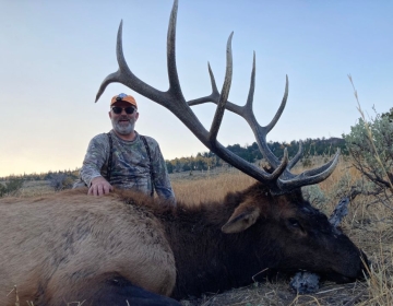 A hunter posing with a large elk harvested during a guided hunt with SNS in Wyoming. The elk's antlers stretch high, emphasizing its impressive size.