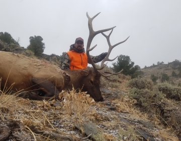 Wyoming Elk Hunt3 2020 Osborne Kevin CardinalSr