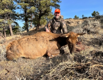 A hunter wearing camo clothing and an orange hat smiles while kneeling next to a cow elk, during a guided hunt with SNS Outfitter & Guides in the scenic Wyoming landscape.