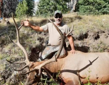 Smiling hunter sitting beside a harvested bull elk in a grassy clearing surrounded by evergreen trees in Wyoming.